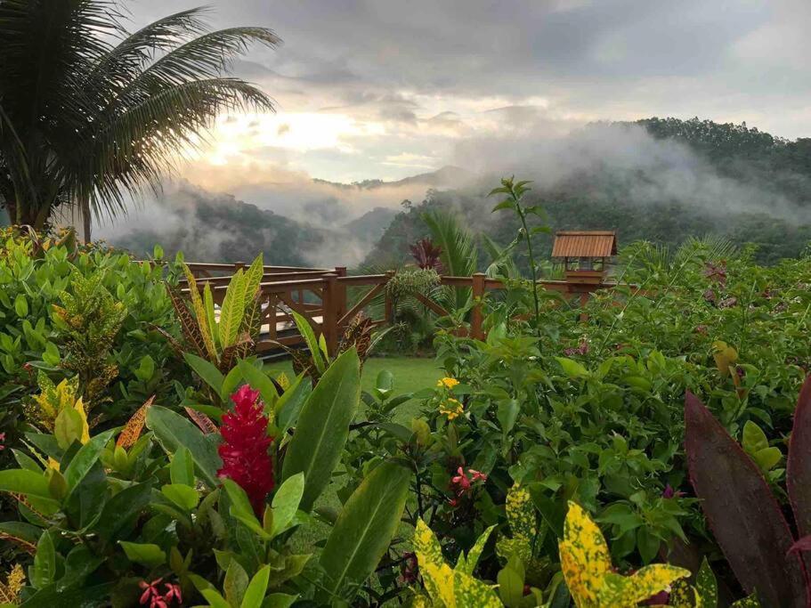 Vila Casa Nas Montanhas Em Domingos Martins Exteriér fotografie